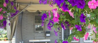 Travelodge Eugene Downtown/university of Oregon