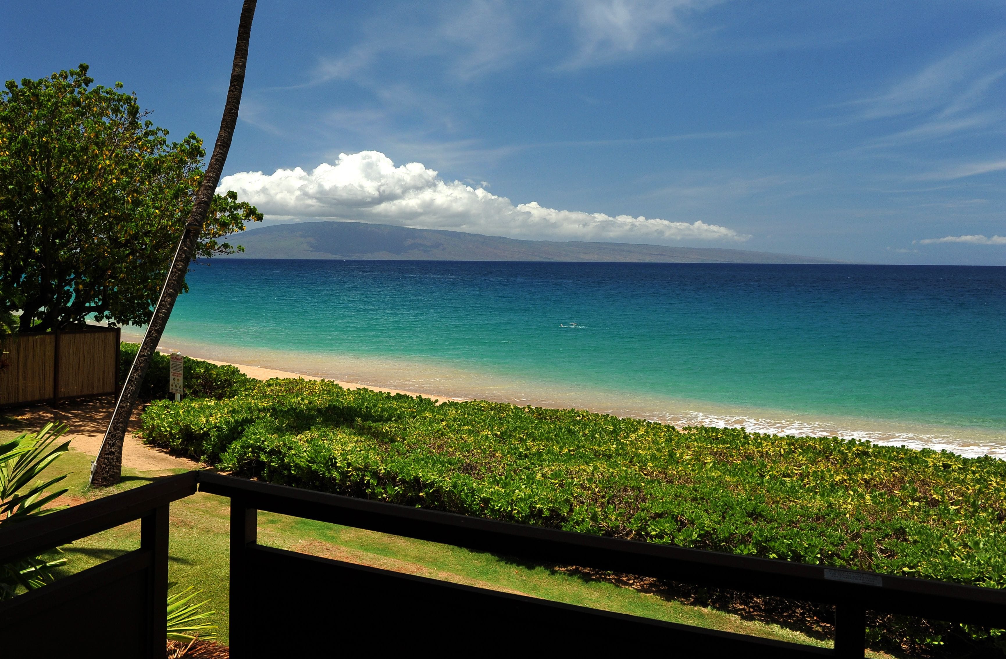A beach view with a wooden deck, lush greenery, and a clear blue sky.