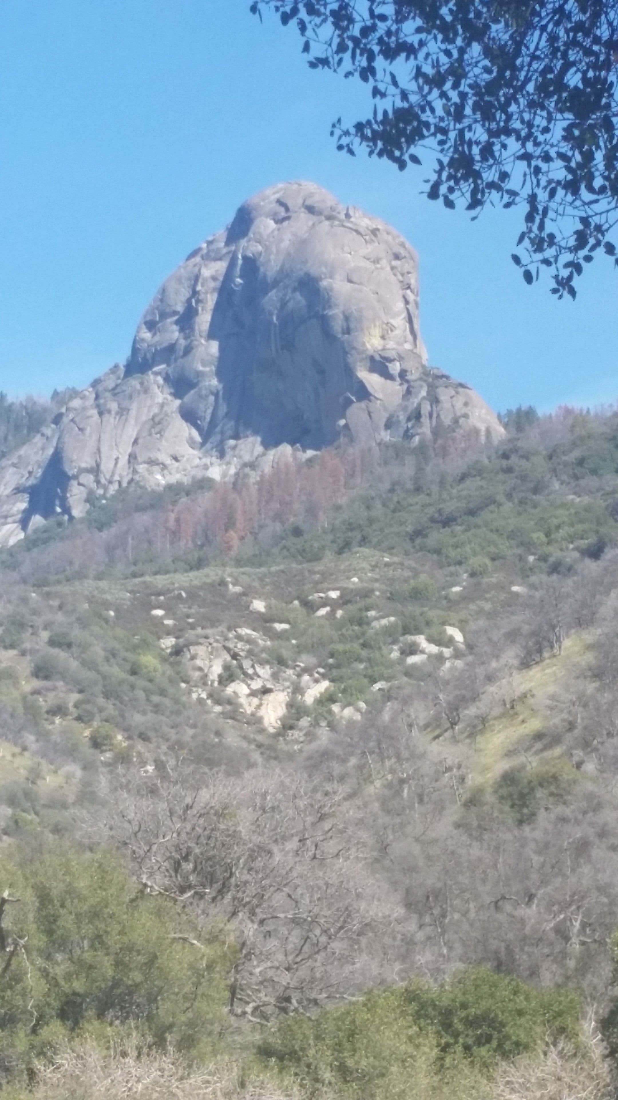 A large rock formation with sparse vegetation on a hillside.
