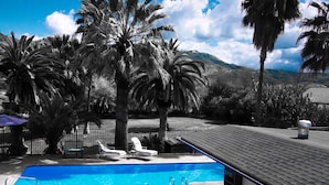 A swimming pool with lounge chairs, palm trees, and a mountain in the background. - The Parks Inn Bed and Breakfast (Lemon Cove)