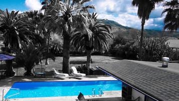 Outdoor pool, sun loungers