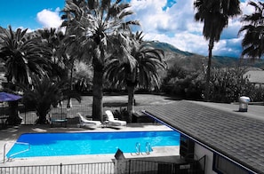 Outdoor pool, sun loungers - The Parks Inn Bed and Breakfast (Lemon Cove)