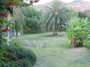 Garden - The Parks Inn Bed and Breakfast (Lemon Cove)