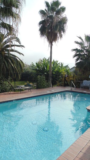 Piscina a l'aire lliure i gandules 