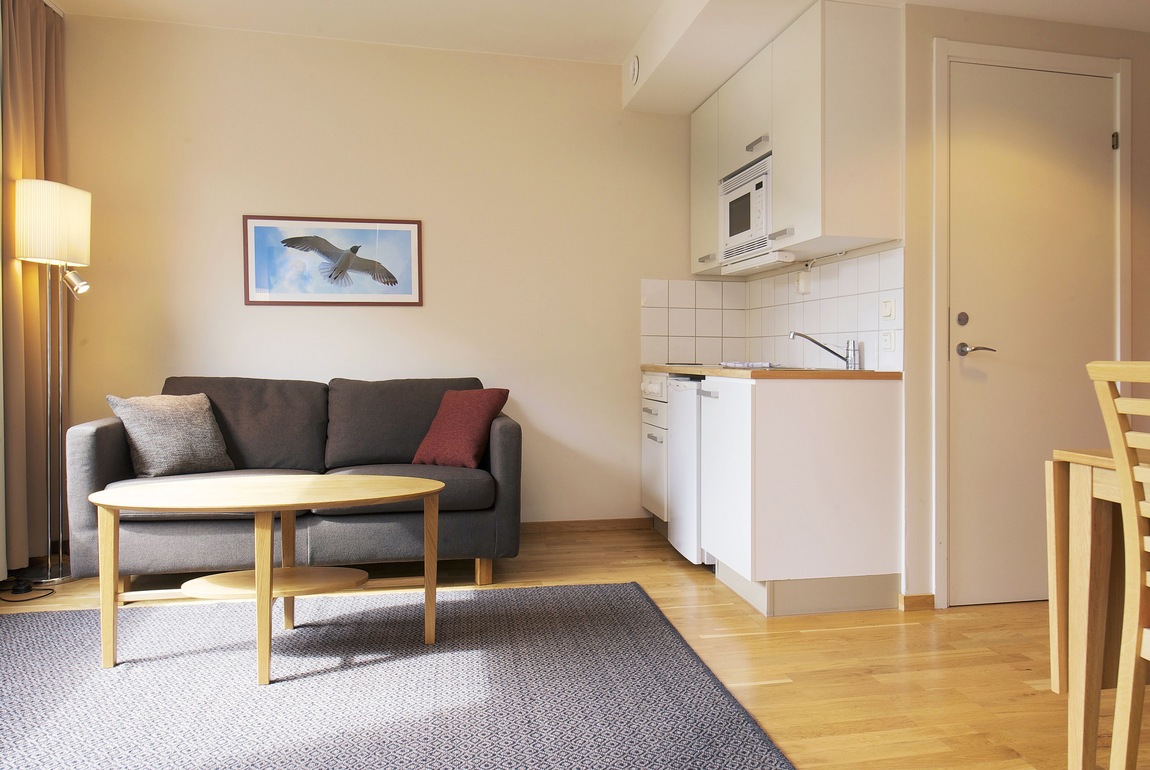 A compact living space with a sofa, a small table, a kitchen area with a microwave, and a door.