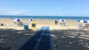 A beach with a blue mat leading to the water, beach chairs, umbrellas, and a beach report sign. - Mowbray by the Sea (Port Douglas)