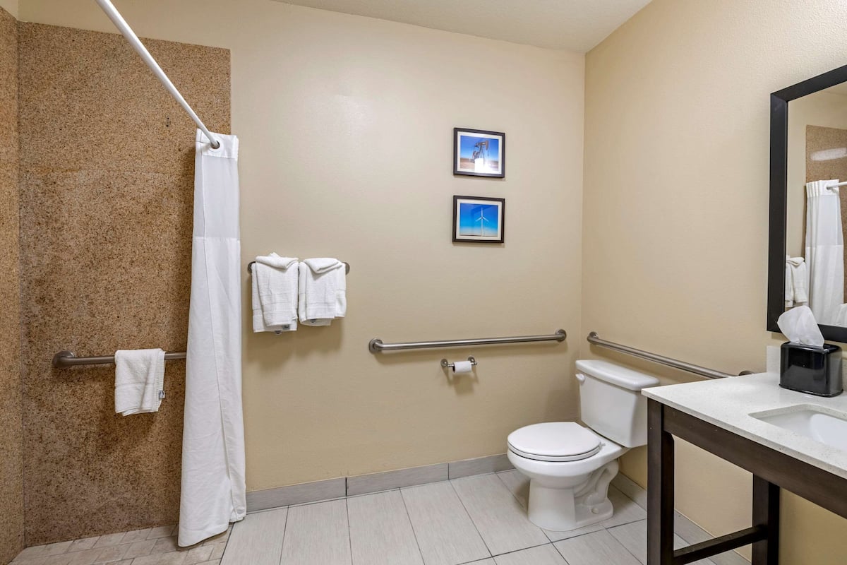 room, 1 king bed, accessible, non smoking | bathroom | combined shower/bathtub, free toiletries, hair dryer, towels