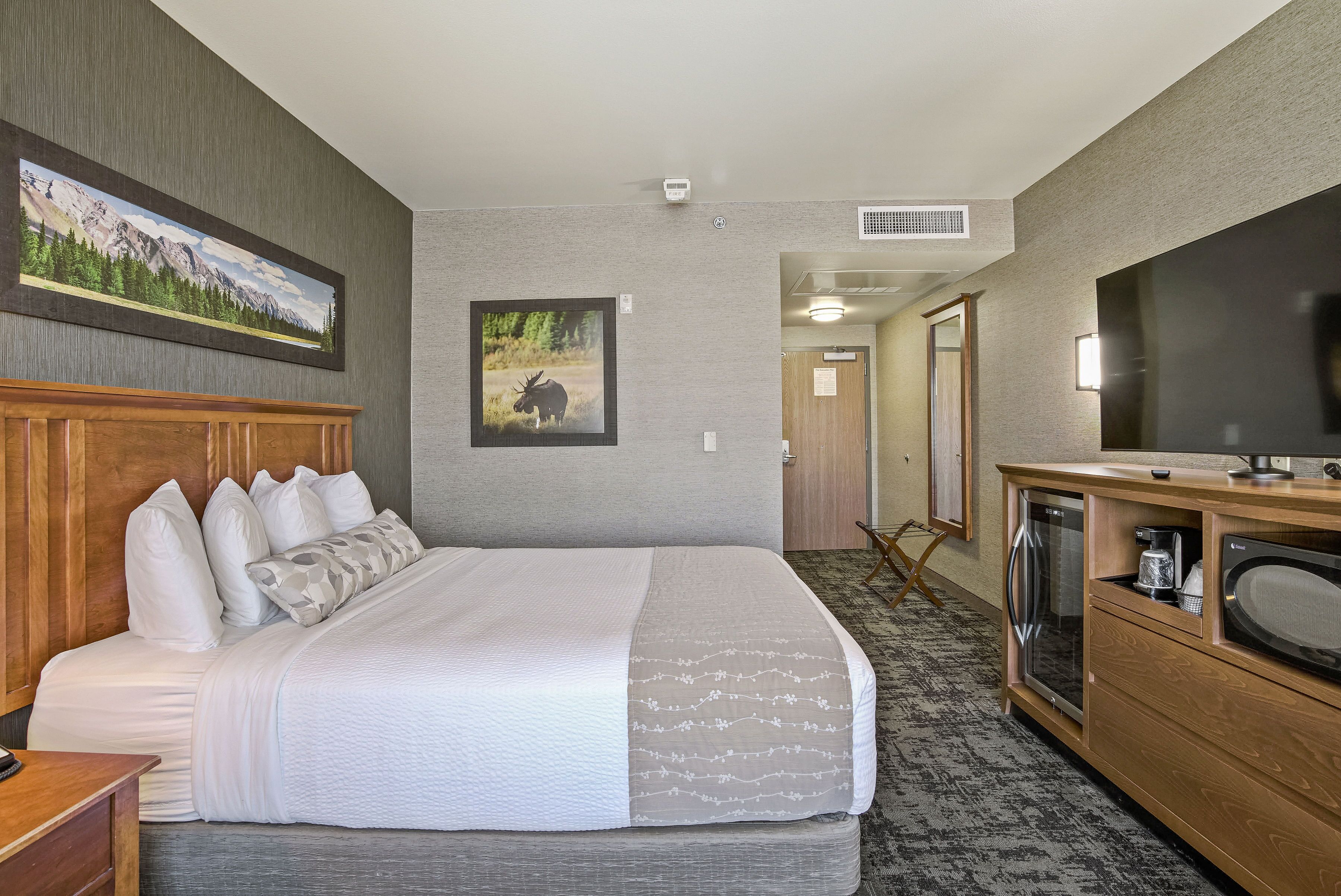 standard room, 1 king bed | hypo-allergenic bedding, pillow-top beds, blackout curtains