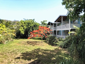 Standard, One King Size Bed | Terrace/patio