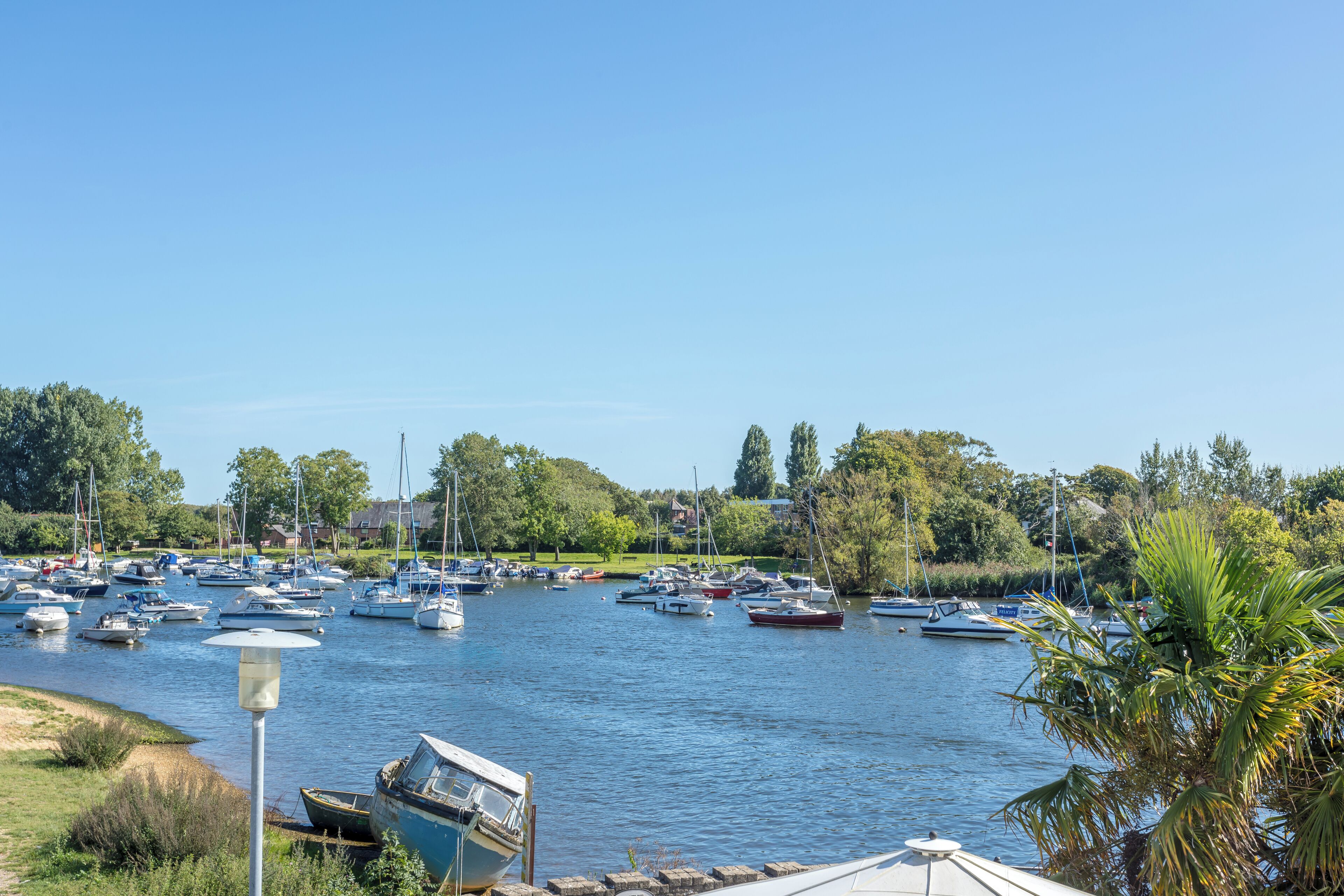 A marina with numerous boats docked, surrounded by greenery and trees.