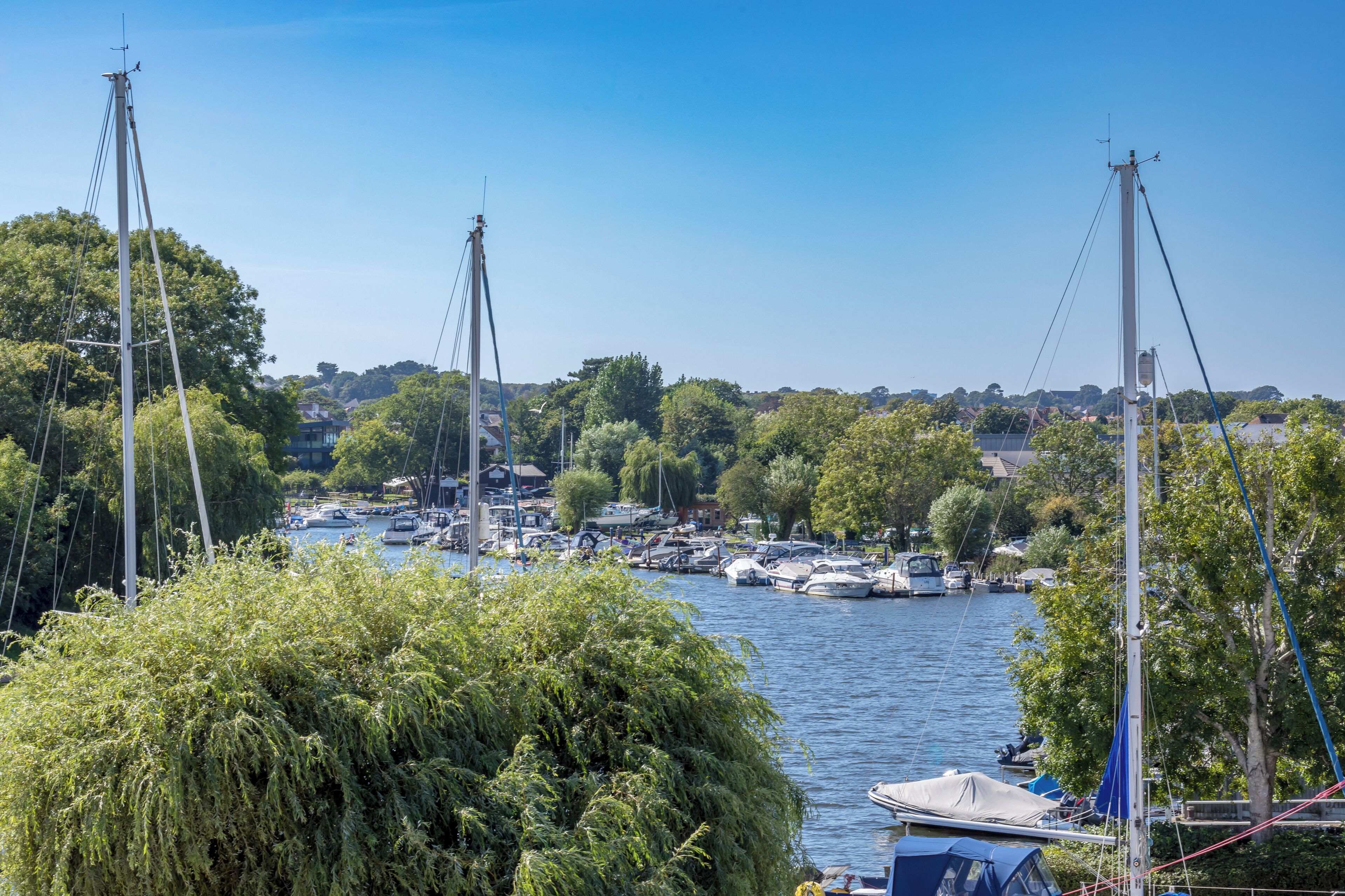 A marina with multiple boats docked, surrounded by lush greenery and trees.