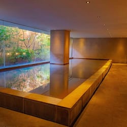 Couples treatment rooms, hot springs, body treatments, hydrotherapy