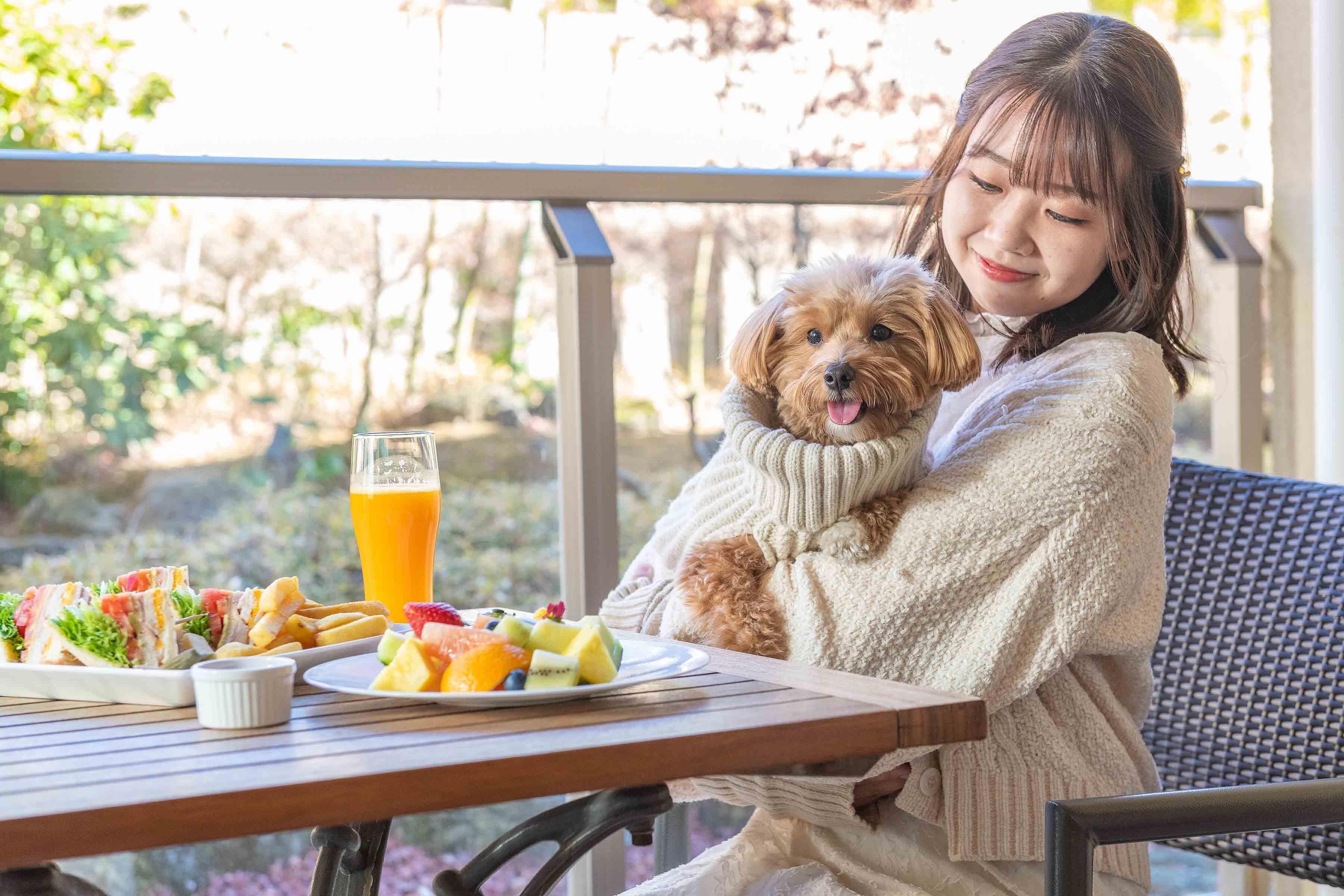 A person sitting at a table with a meal and a drink, holding a small dog.
