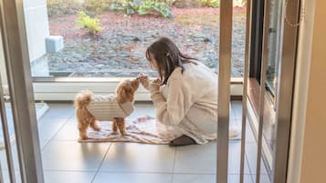 Chambre Deluxe, 2 lits une place (Dog Friendly)