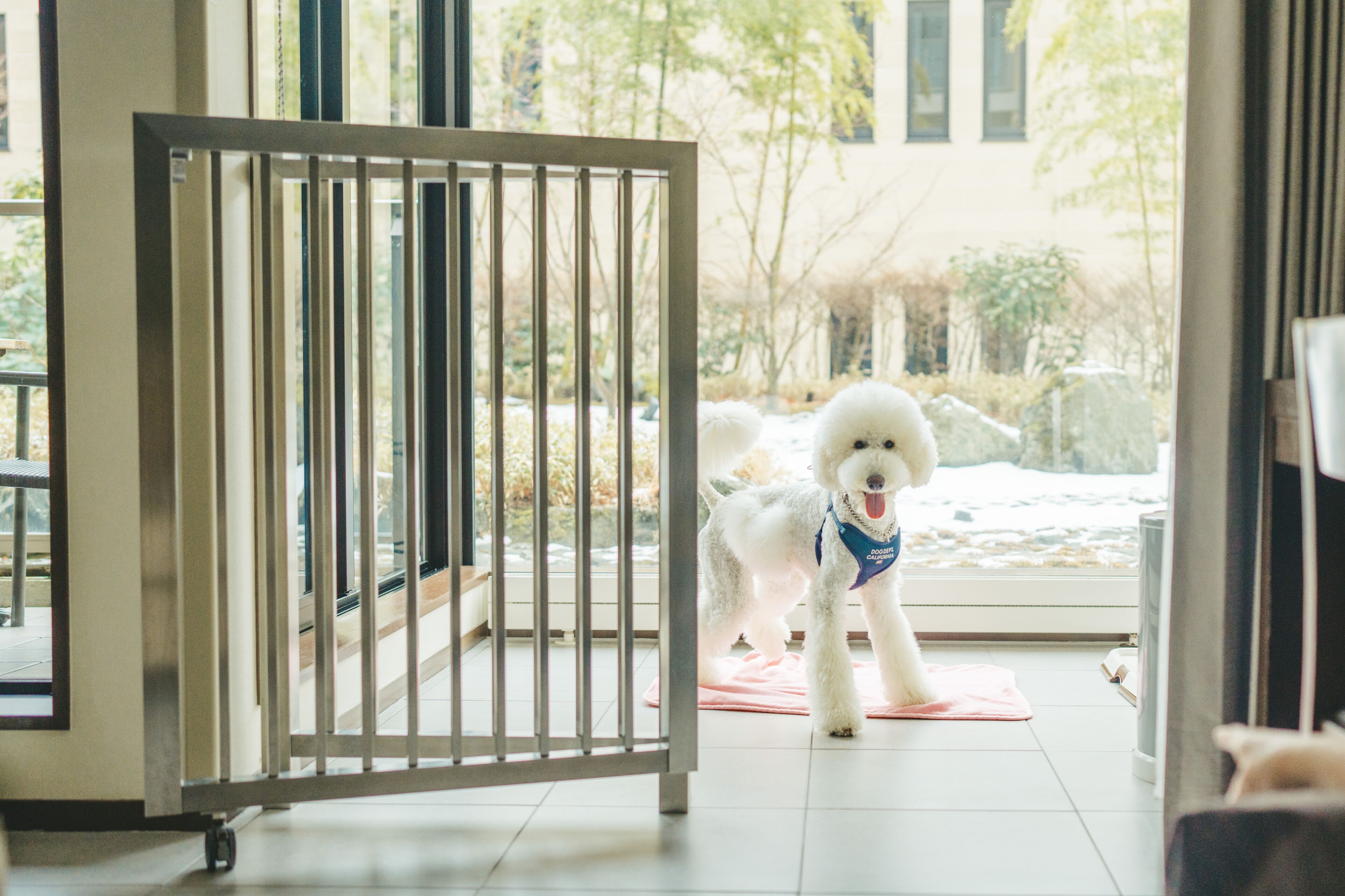 deluxe room, 2 single beds (dog friendly) | 1 bedroom, hypo-allergenic bedding, minibar, in-room safe