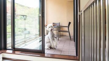 A dog sitting by a sliding glass door on a balcony with a view of a garden and a chair inside.