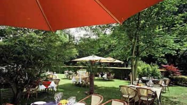 Un área de comedor al aire libre con mesas y sillas, rodeada de vegetación.