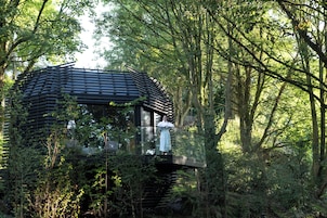 Una cabaña de madera rodeada de un bosque denso.