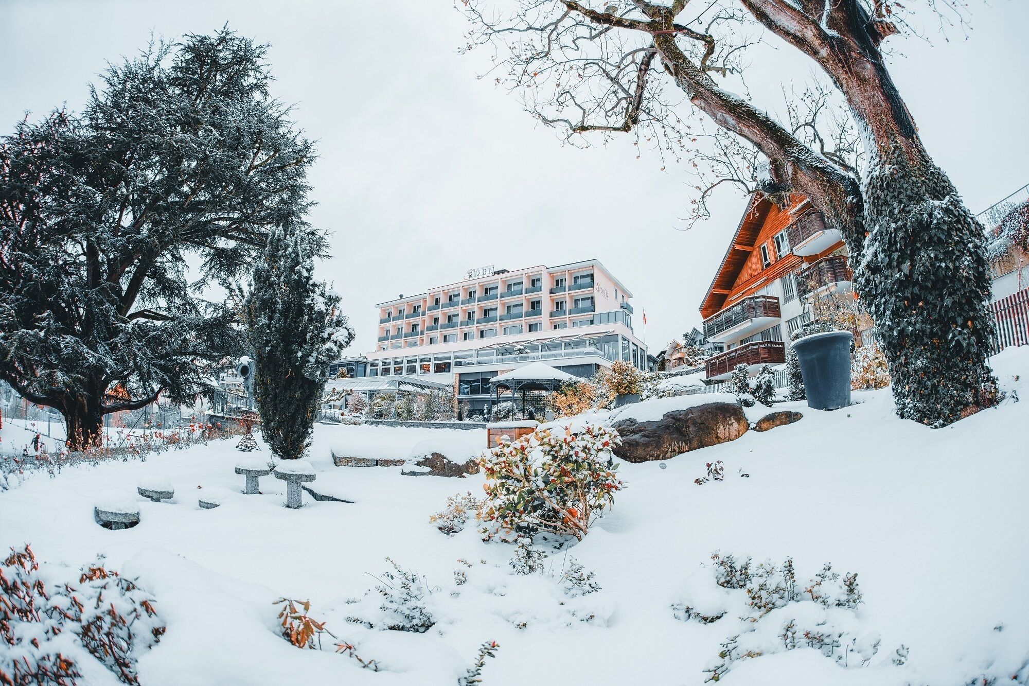 Un hôtel au design moderne, doté d’une cour intérieure où l’on trouve des plantes et des bancs recouverts de neige, le tout entouré d’arbres chargés de neige.