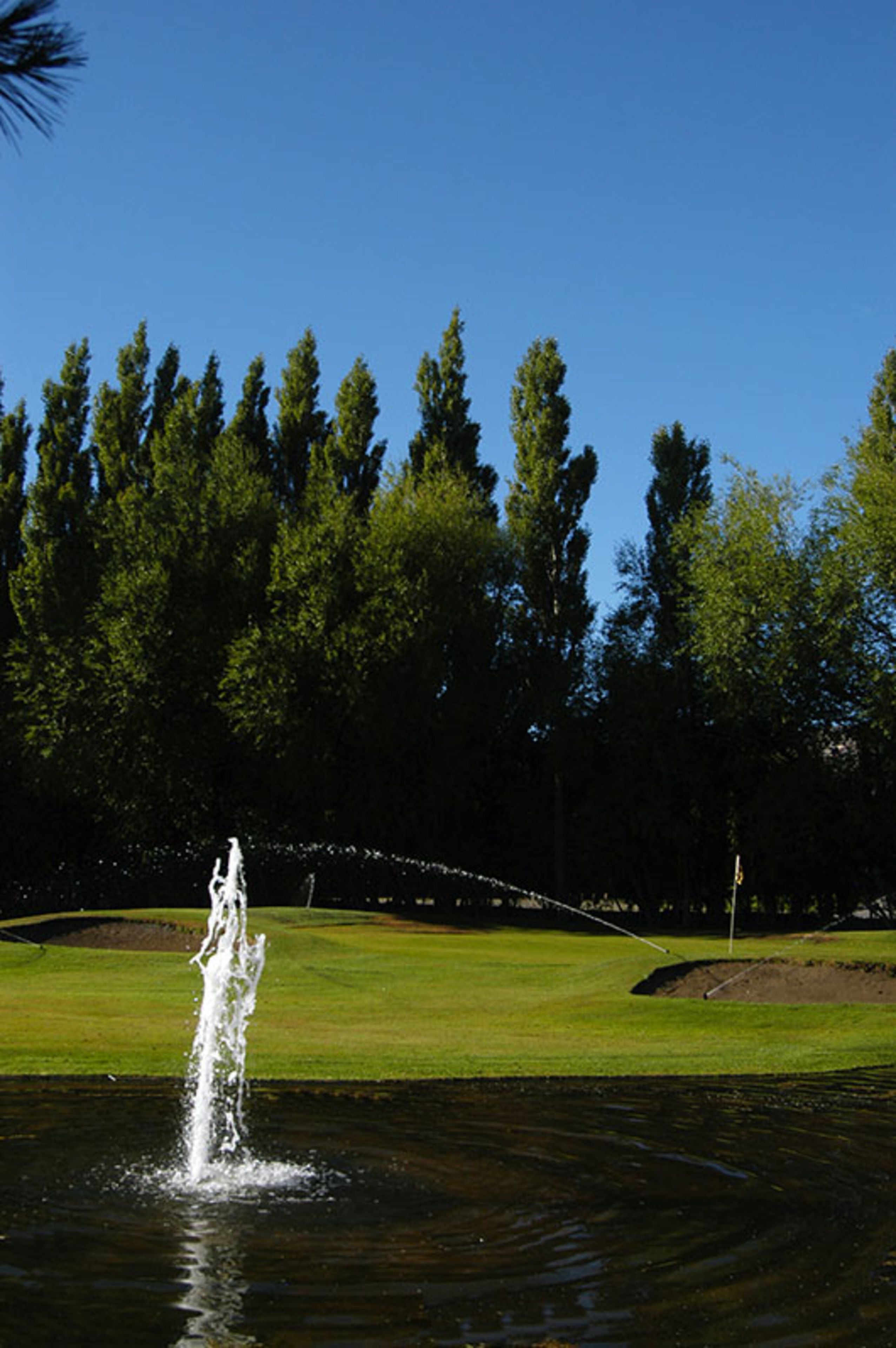 A fountain in a park with a clear sky and trees in the background.