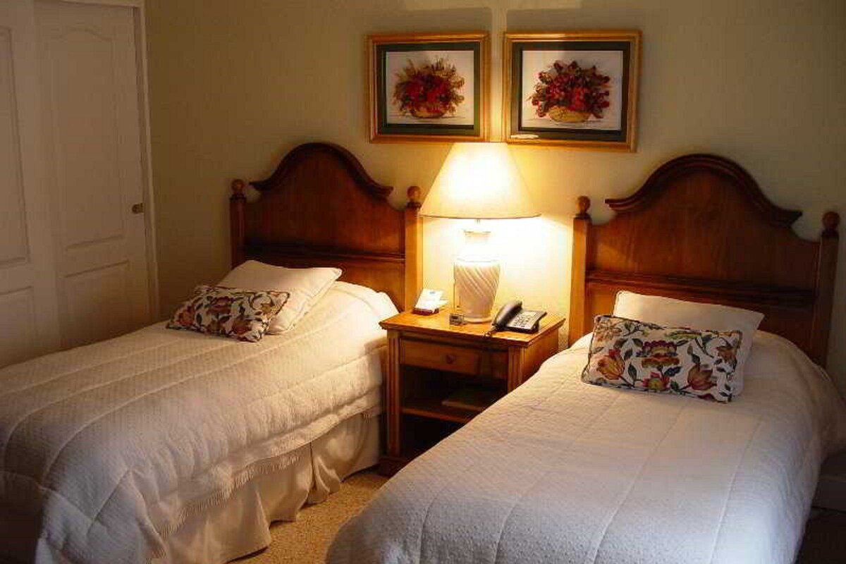 Two single beds with matching headboards, a bedside table with a lamp, and two framed floral pictures on the wall.