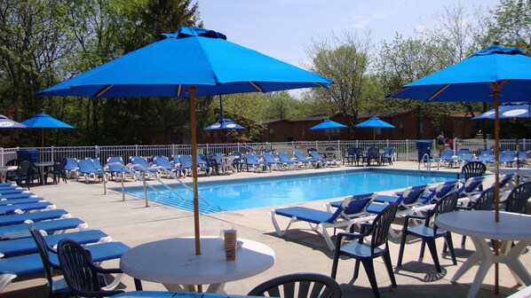 Piscine extérieure, chaises longues