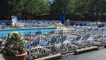 Outdoor pool, pool loungers