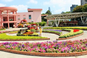 Vista frontal de la propiedad