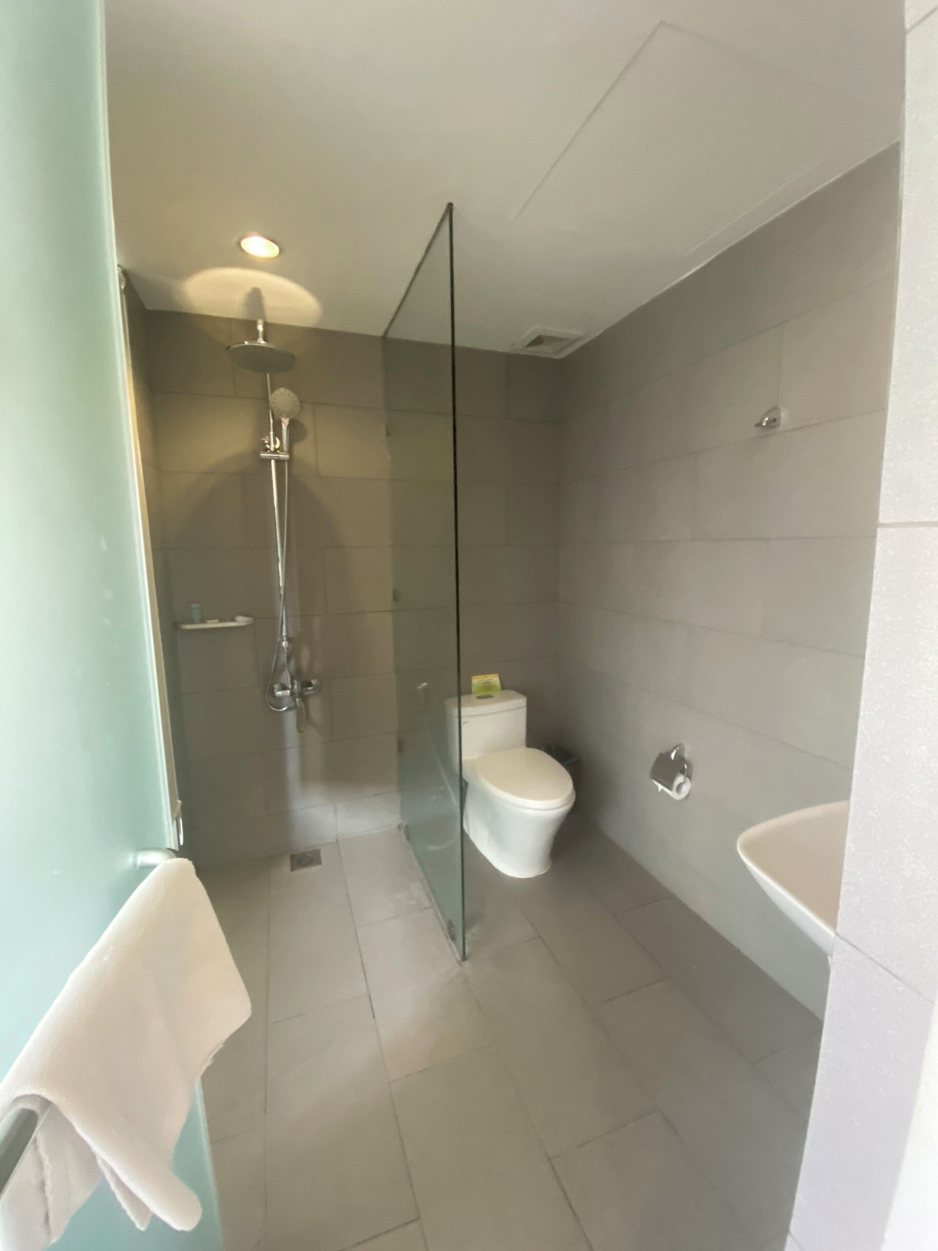 A modern bathroom with a glass shower enclosure, a toilet, and a sink.