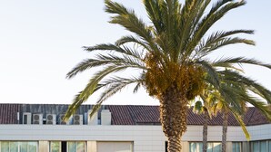 Un hôtel moderne doté d’une piscine, de chaises longues et de palmiers.