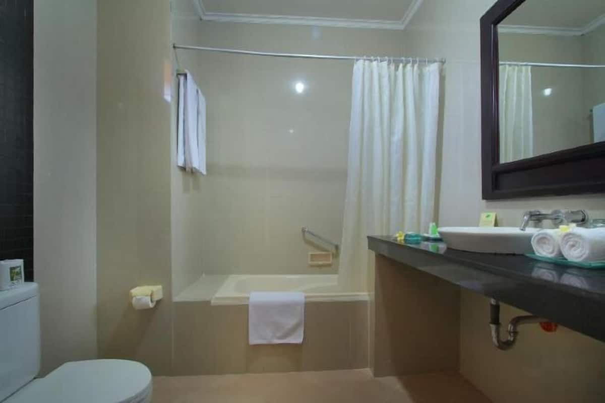 Bathroom | Combined shower/tub, free toiletries, hair dryer, slippers