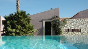 Una piscina azul cristalina con un muro de piedra y una palmera al fondo.
