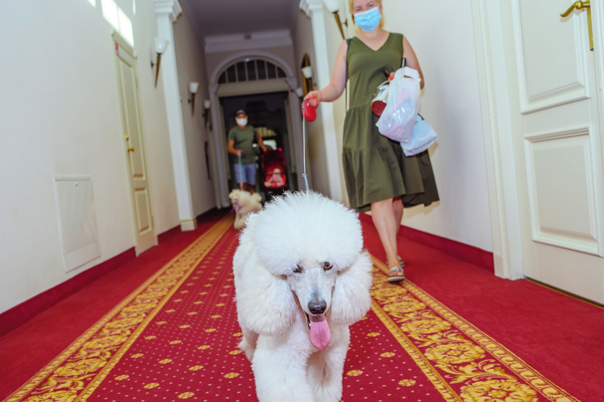 Pet-friendly