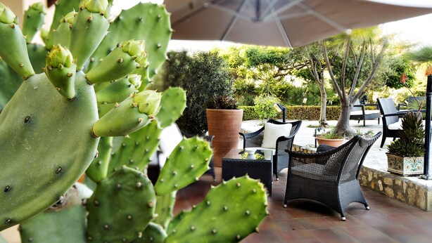 A cactus plant in the foreground, outdoor seating with wicker furniture, and a large umbrella providing shade. - FAVIGNANA HOTEL Concept Holiday (Favignana)