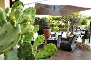 A cactus plant in the foreground, outdoor seating with wicker furniture, and a large umbrella providing shade. - FAVIGNANA HOTEL Concept Holiday (Favignana)