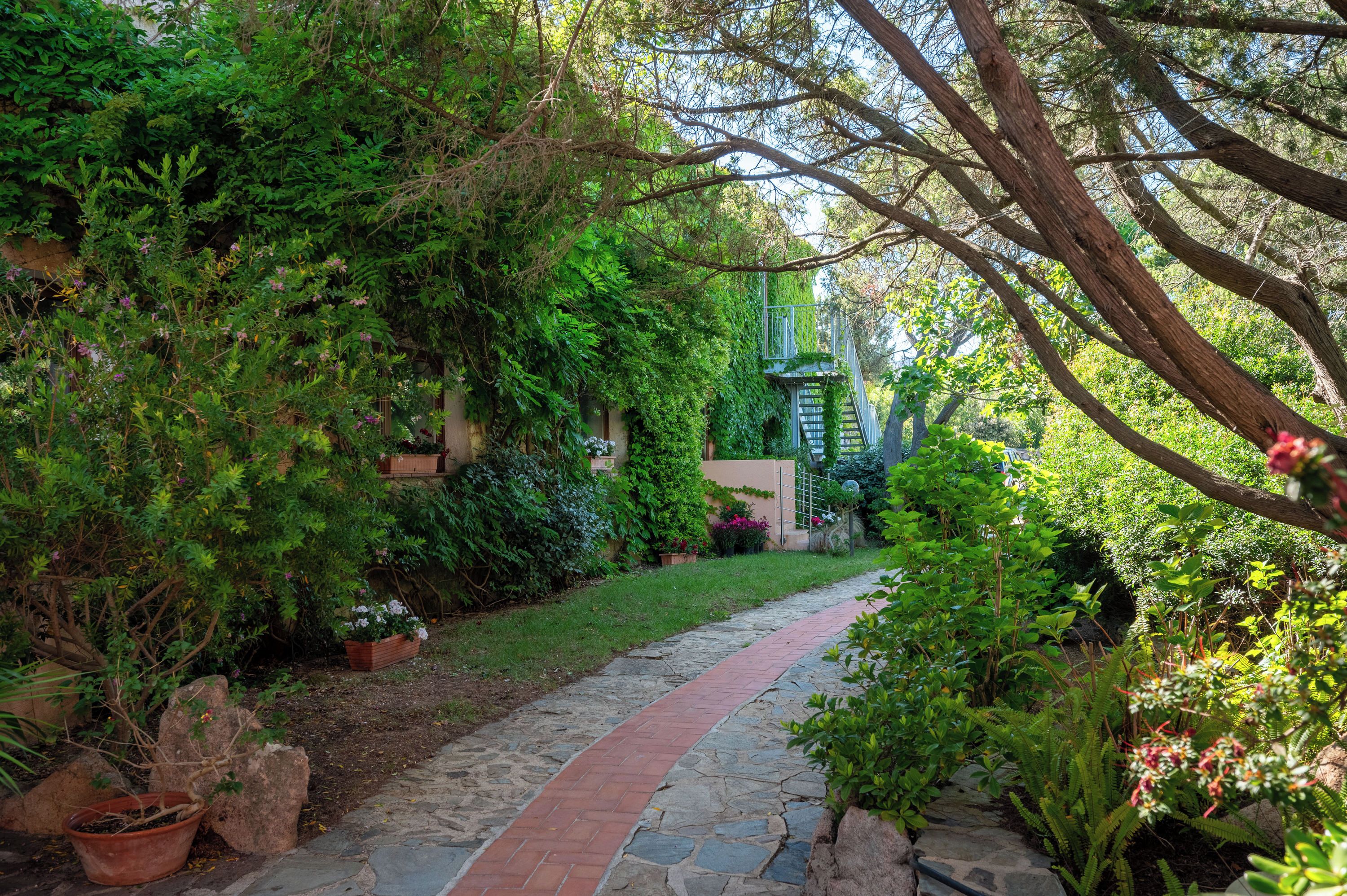 A stone pathway leading through a lush garden with various plants and trees.