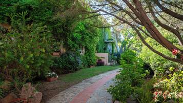 A stone pathway leading through a lush garden with various plants and trees.