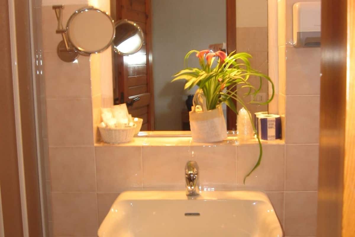 shower, free toiletries, hair dryer, bidet