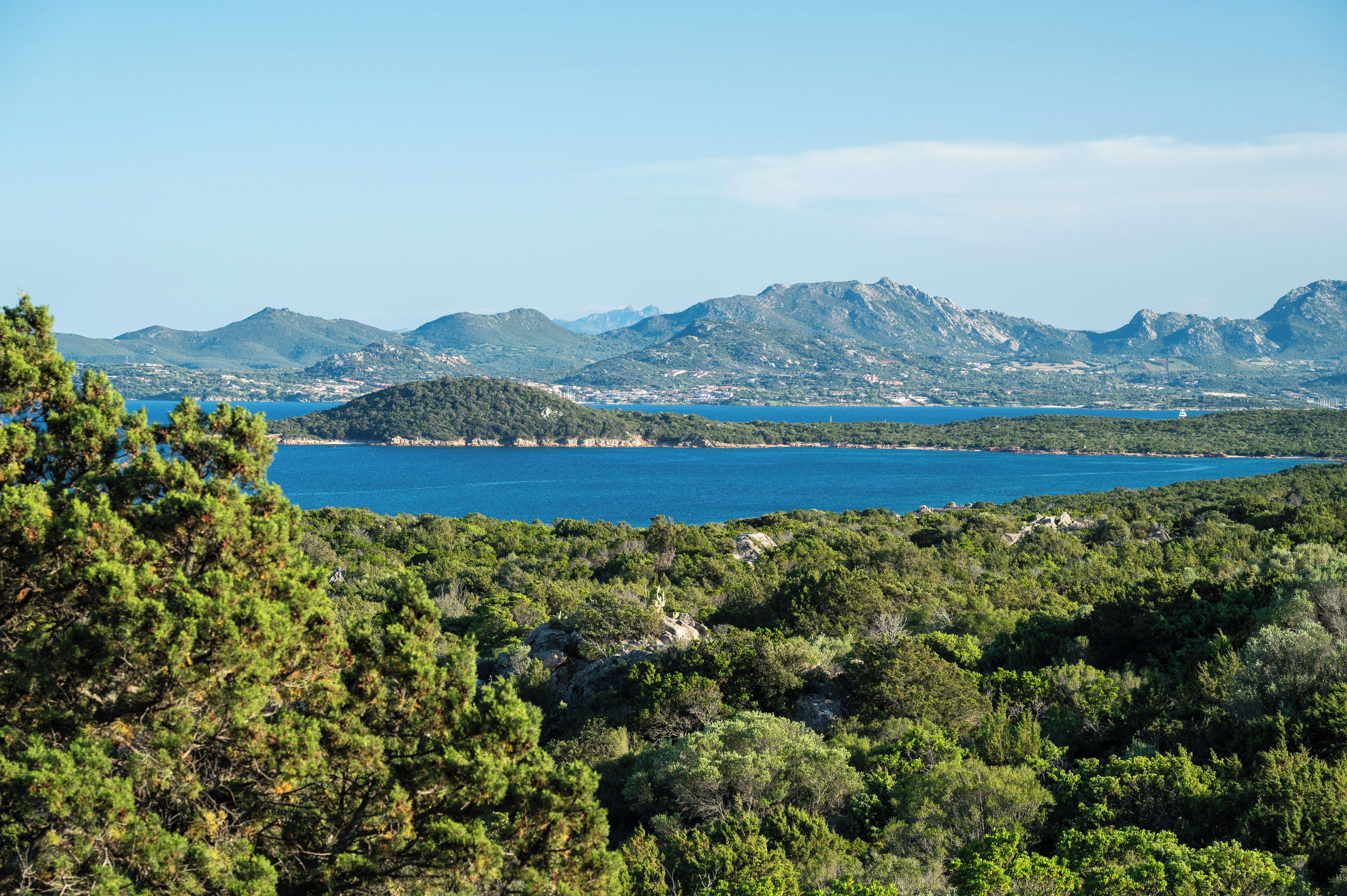 A coastal landscape with mountains, a clear sky, and dense greenery.