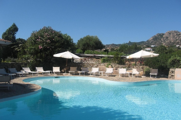 Kolam renang outdoor, dengan payung kolam renang dan kursi berjemur