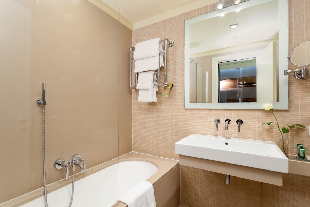 combined shower/bathtub, free toiletries, hair dryer, bidet