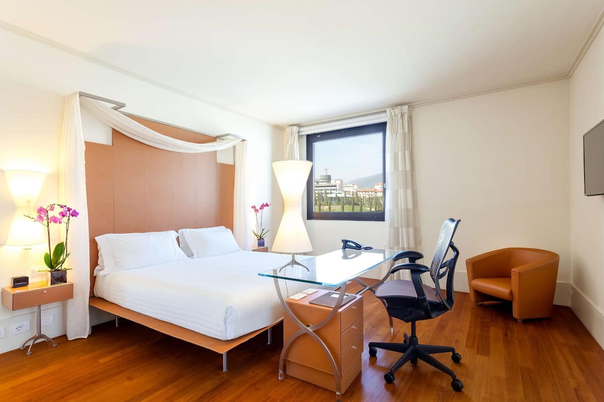 Chambre Deluxe, 1 trĂšs grand lit