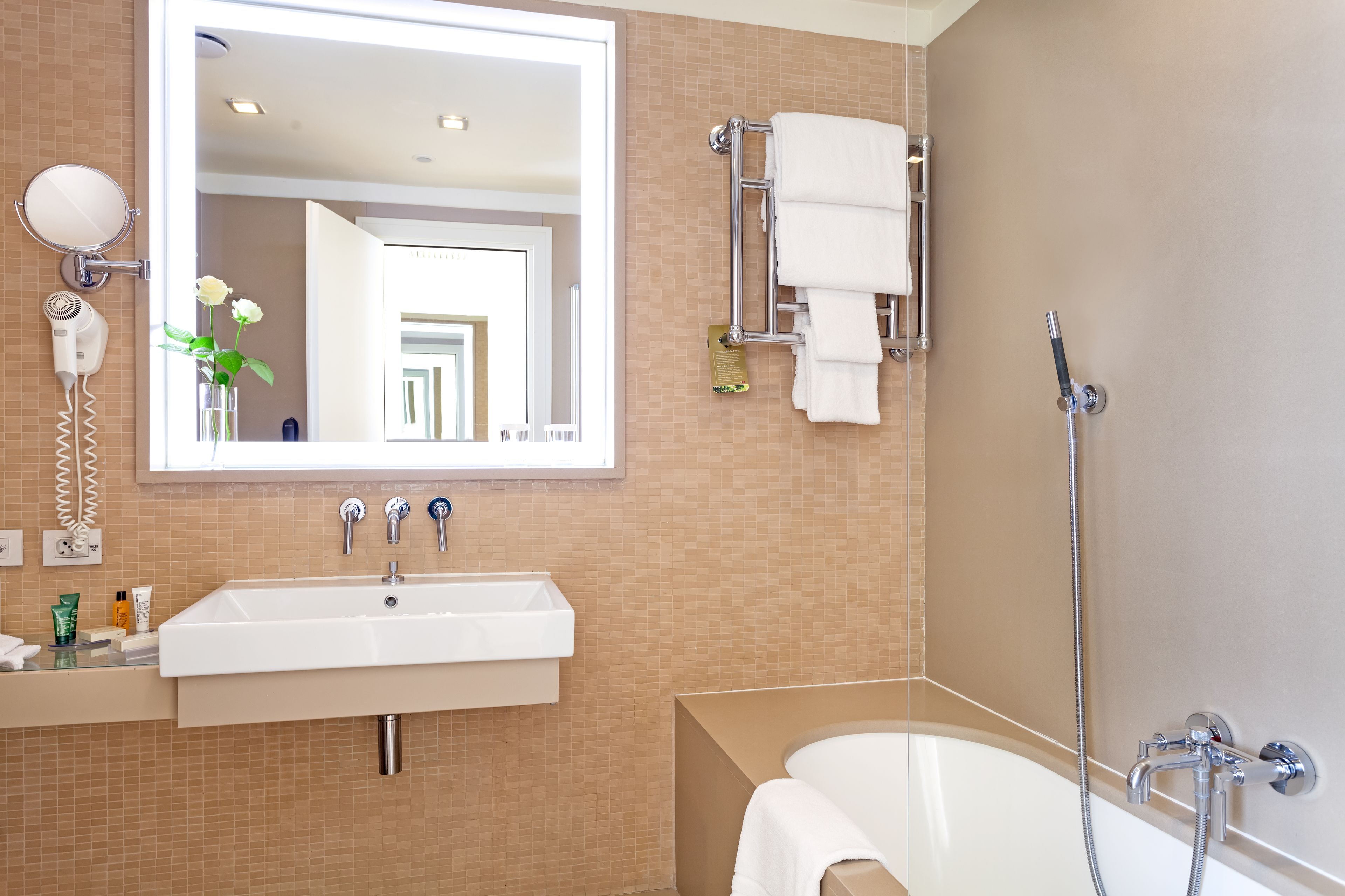 combined shower/bathtub, free toiletries, hair dryer, bidet