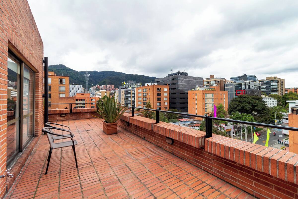 A rooftop terrace with a brick wall, a potted plant, and a metal chair.