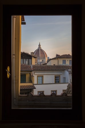 Vista desde la propiedad