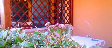 A room with a window covered by a red lattice, a table with a white tablecloth, and a potted plant with pink flowers.