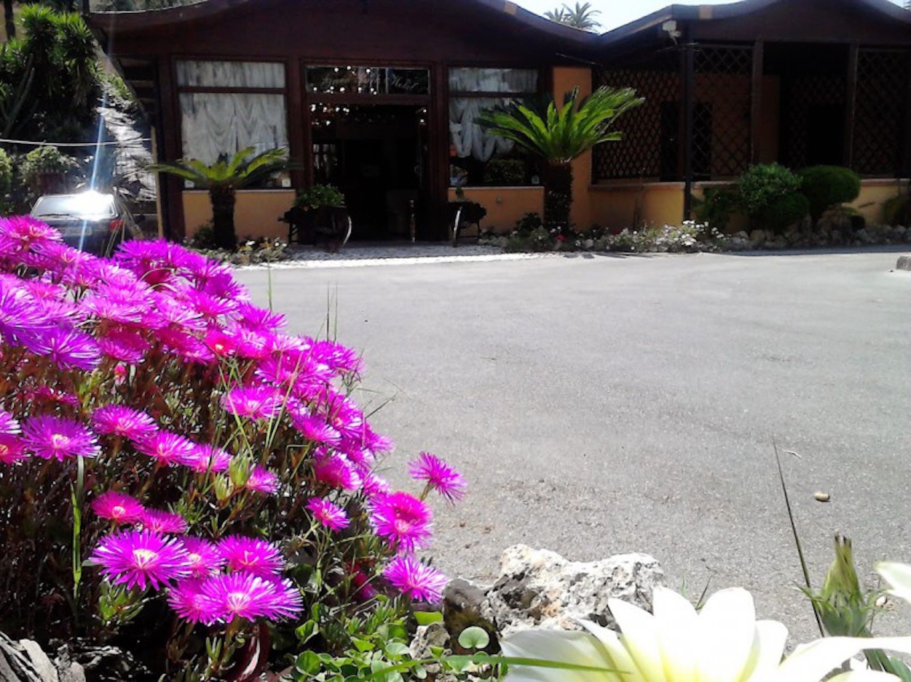 A building with a paved entrance, surrounded by pink flowers and some greenery.