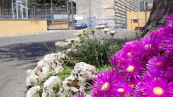 Jardín