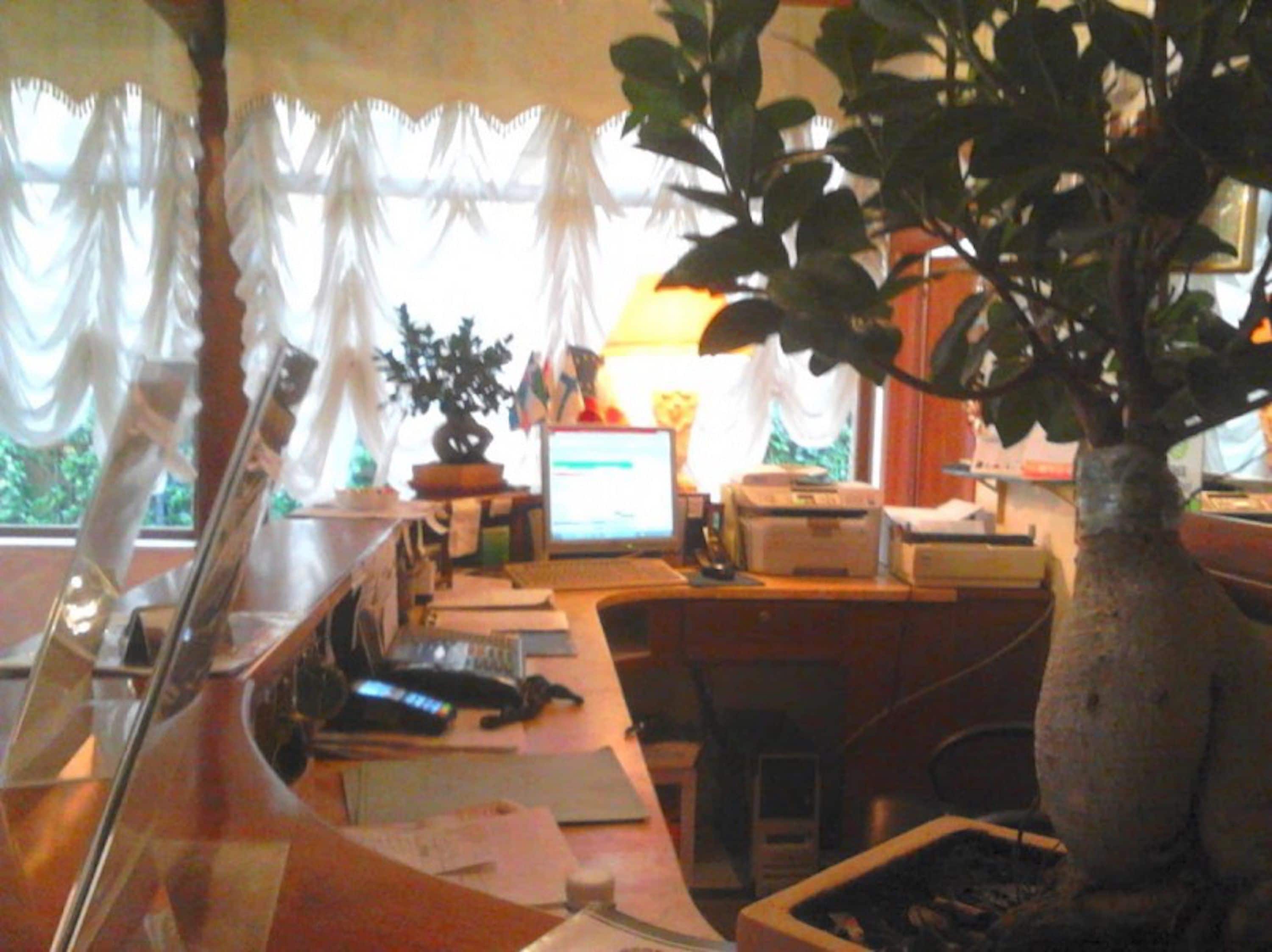 Photo - Hotel Federico II