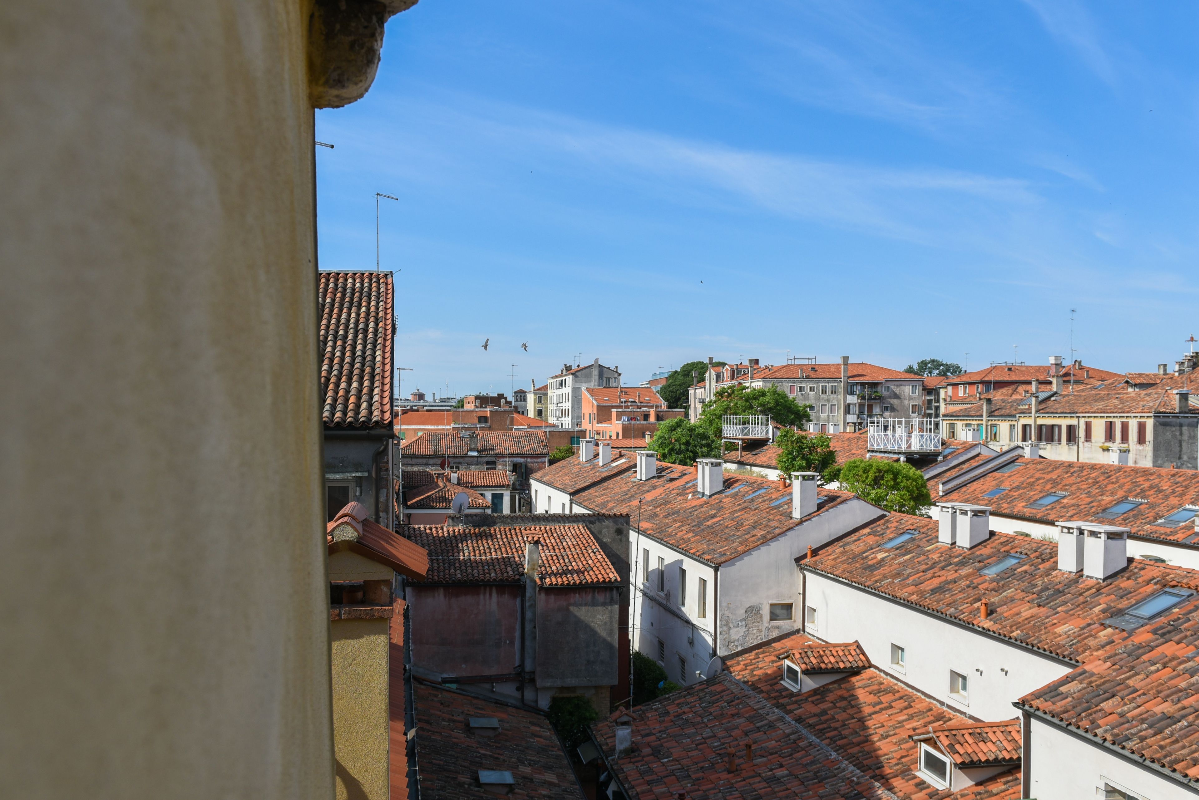 Foto - Palazzo Cendon Piano Antico